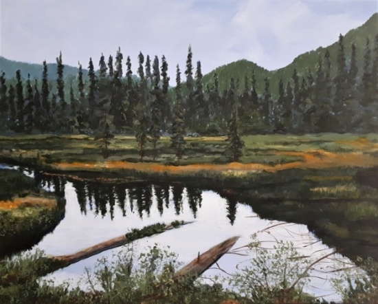 Beaver Pond